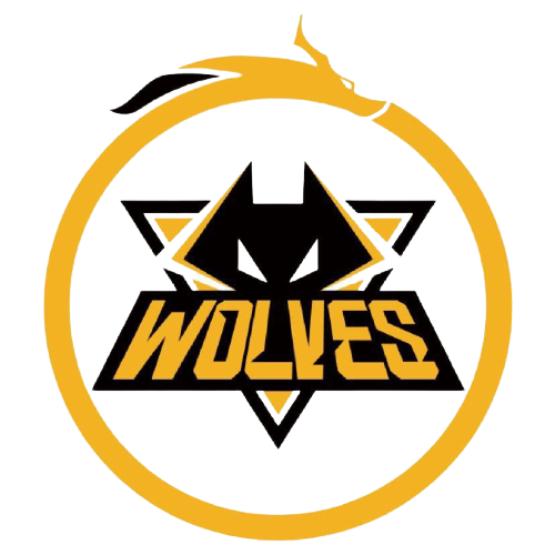 的绝佳机会 的绝佳机会